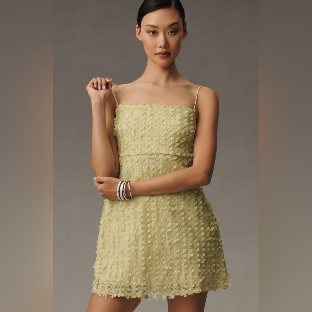 Anthropologie 3D Floral Embellishment Mini Dress